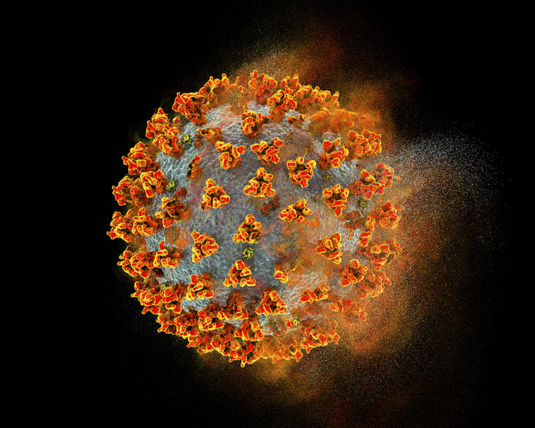 Illustration conceptuelle d’un virus Sars-CoV-2 responsable de la maladie Covid-19.