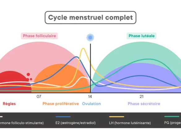 Cycle menstruel complet (méthode du calendrier)
